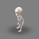 Skelly